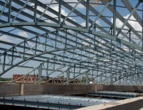 Department of foreign affairs