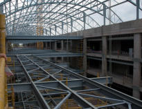 Department of foreign affairs