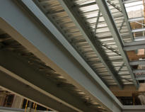 Department of foreign affairs