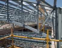 Department of foreign affairs